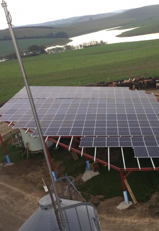 Dairy Farm in South Africa