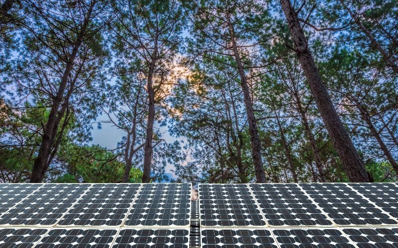 Hybrid Solar Power Plant in Amazon, Brazil Header Image