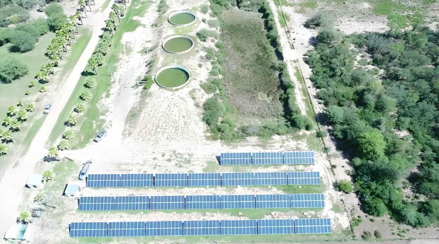 Solar diesel integration on an export company in Argentina
